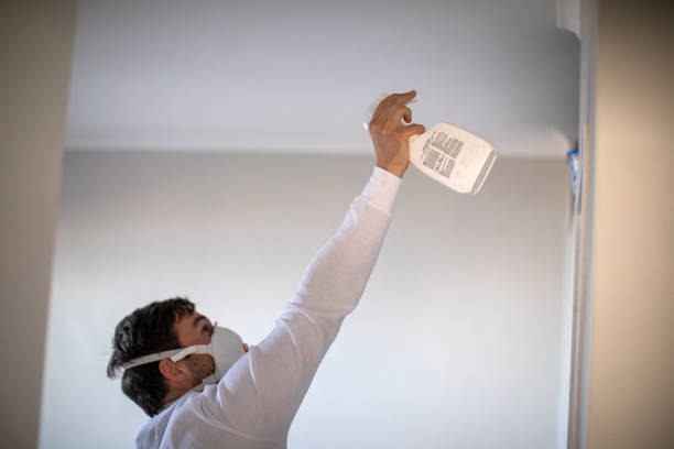 Best Mold Removal Specialists  in Los Gatos, CA